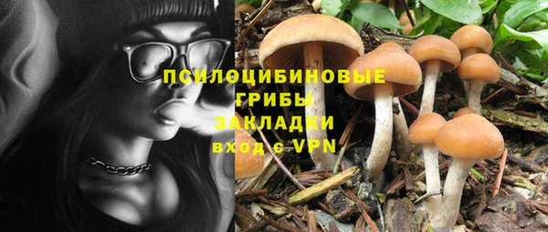 ALPHA PVP Покровск